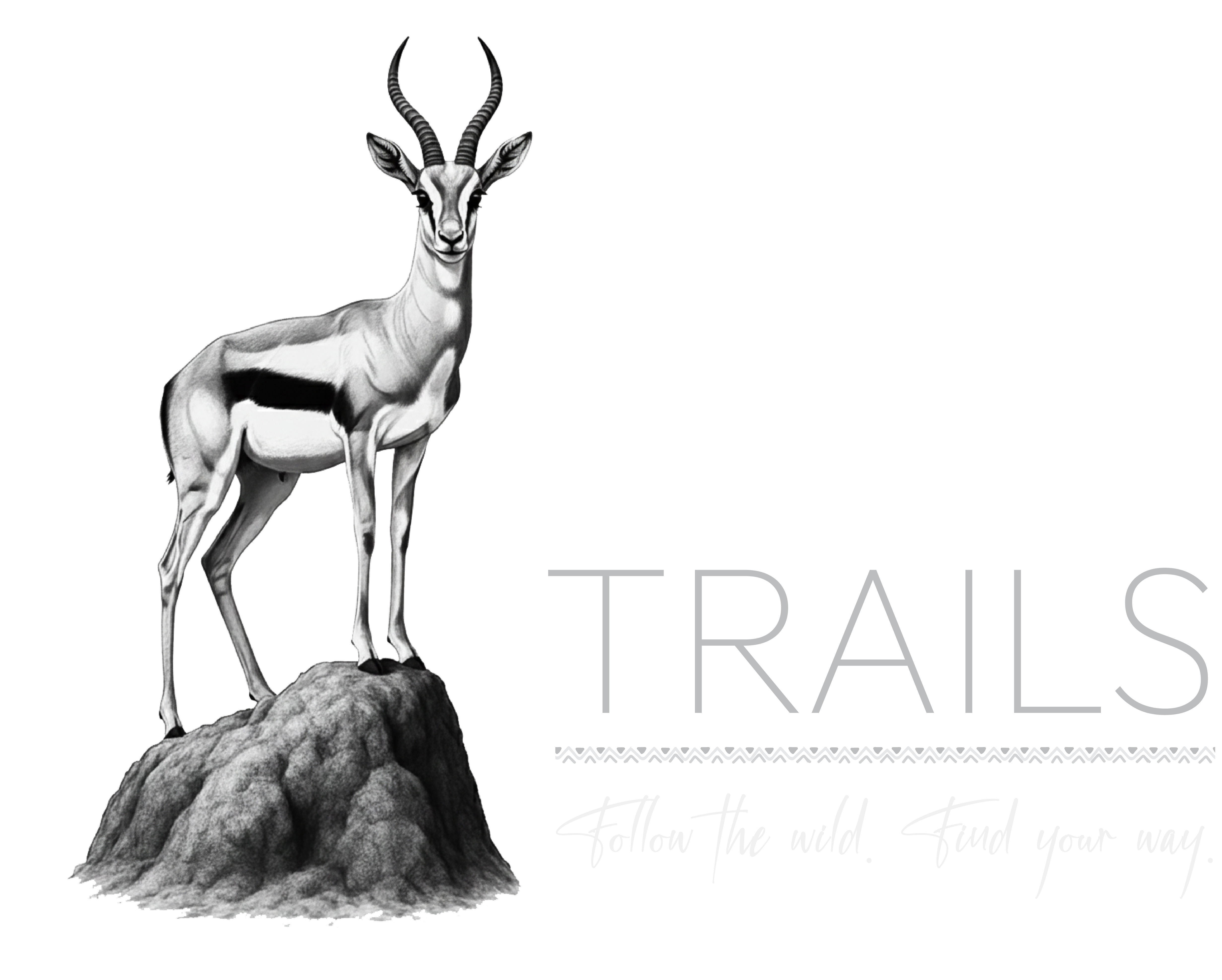 Topi Trails
